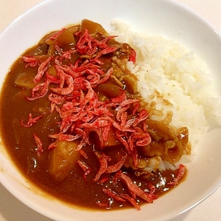 たっぷりのせてカルシウム補給☆干しエビカレー